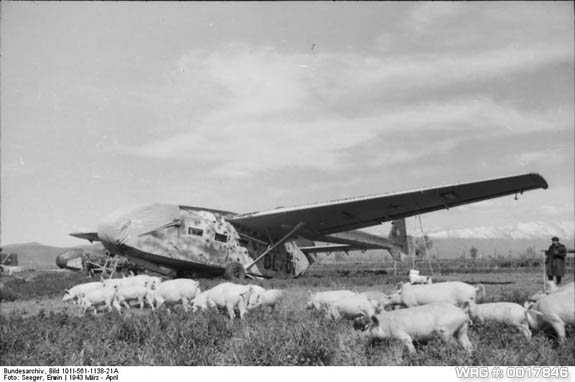 Gotha Go 242 WRG# 0017846