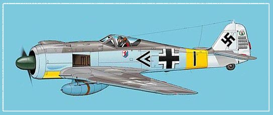 Anton Hackl's Fw 190s