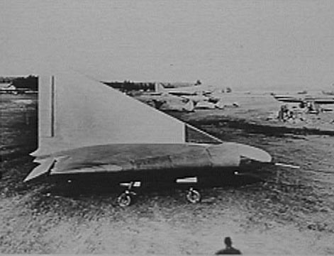 Lippisch DM-1