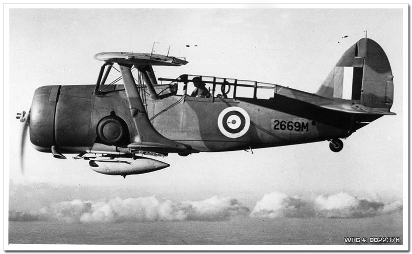 Curtiss Cleveland Mk. I of the Royal Air Force flying over Canada. WRG #: 0022376