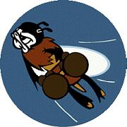36th Fighter Group/22nd Fighter Squadron Emblem