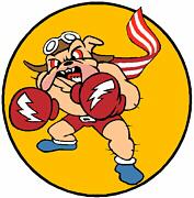 20th Fighter Group/62nd Fighter Squadron Emblem