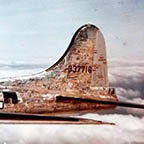 Image Gallery Thumbnail
