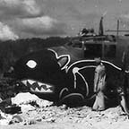 B-25G Mitchell/42-64809 of the 345th BG crash landed at Biak. WRG#: 0032188