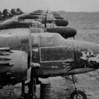 B-25 Mitchell parked with a bunch of P-61 Black Widows. WRG-0000069