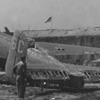 B-25 Mitchell of the 340th BG damaged during eruption of Mt. Vesuvius, Italy, March 23,  1944. WRG-0021549
