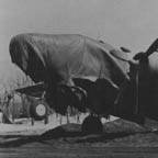 B-25 Mitchell of the 340th BG damaged during eruption of Mt. Vesuvius, Italy, March 23,  1944. WRG-0021550