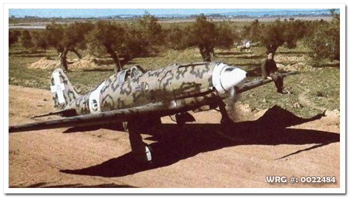 Macchi C.202 Folgore WRG#: 0022484
